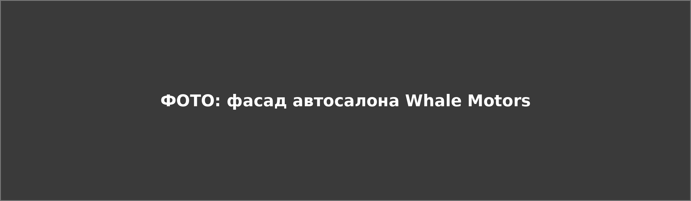 Заглушка вместо фотографии